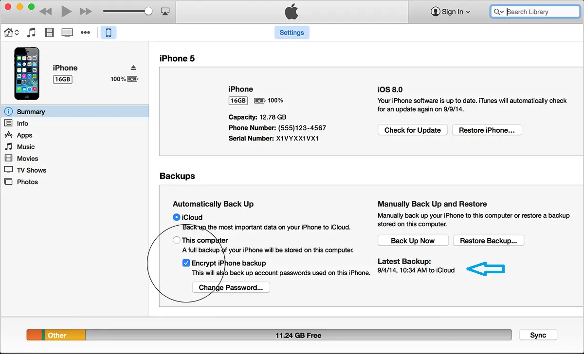 iTune Backup option