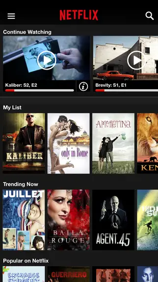 Netflix for iOS